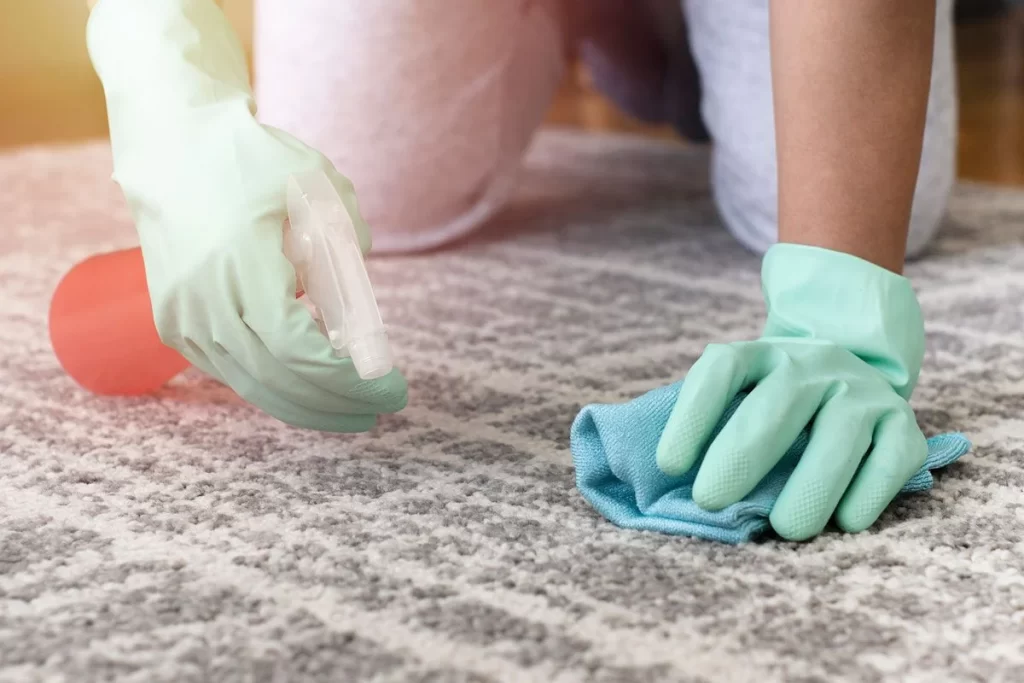 commercial carpet cleaning services in Fort Wayne